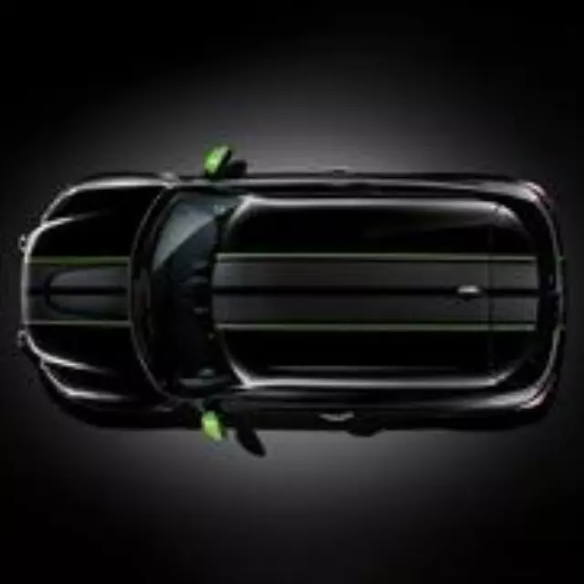 51142317860 - Exterior: Mini Ray Sport Stripes - Shocking Pink for Mini: Cooper Countryman, Cooper Paceman Image