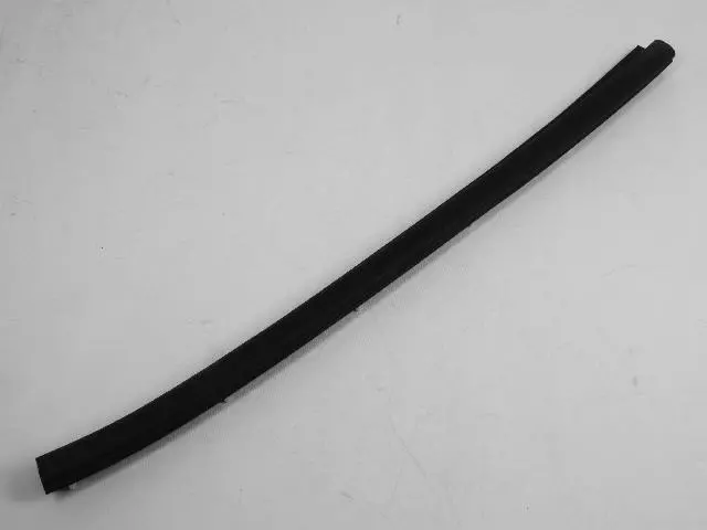 5065334AF - : Rear Door Sill Secondary Weatherstrip for Chrysler: 300 | Dodge: Charger, Magnum Image