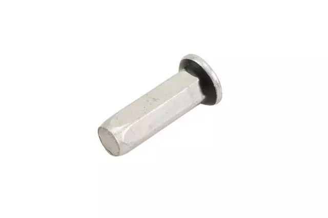 11611290 - : Rear License Plate Nut for GM Image