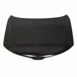 9H6Z16612A - : Hood for Lincoln: MKZ Image