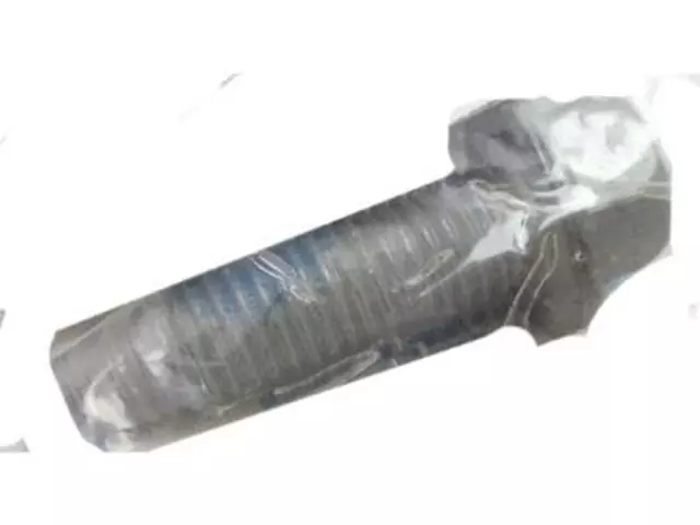 Trailing Arm Rear Bolt - Ford (W711170-S439)