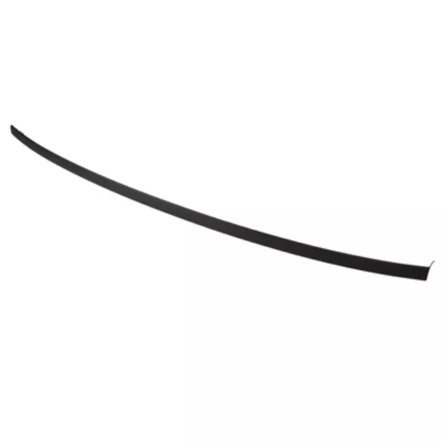 Roof Molding - Ford (CP9Z-5450463-A)