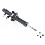 E61101BN0B - Suspension: Strut Assembly for Infiniti Image