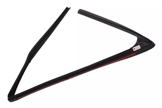 OEM NEW 17-20 GM Chevrolet Bolt EV Front Side Door Window Weatherstrip 42562887 - GM (42562887)
