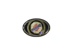 4805157 - : Fascia Medallion for Mopar Image