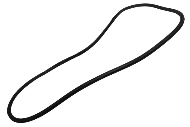 84738262 - : Rear Side Door Weatherstrip for Buick: Enclave Image