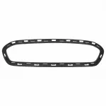 AE8Z8200BB - : Grille Radiator for Ford Image