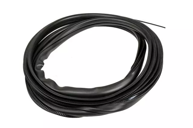 23226972 - Body: Weather-strip On Body for Buick: Enclave Image