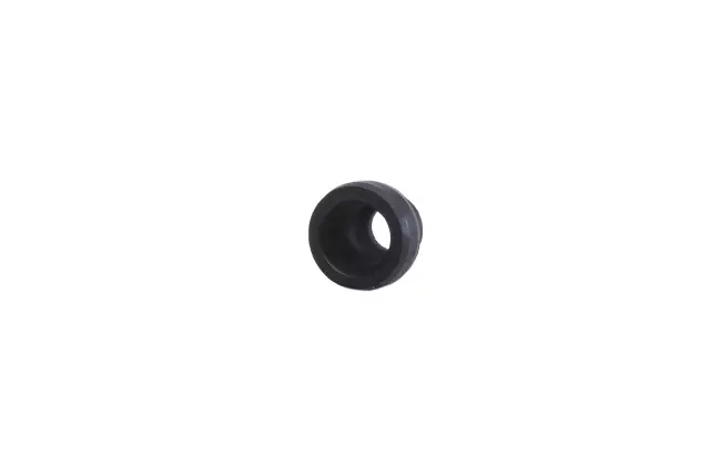 12566250 - : Engine Valve Cover Grommet for Buick: LaCrosse, Rendezvous | Cadillac: CTS, SRX, STS | GMC: Acadia | Pontiac: G6 | Saturn: Aura, Outlook Image