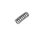 68406030AB - Rear Suspension: Rear Coil Spring, Right for Mopar Image