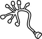 88069AR015 - Body: Harness for Infiniti Image