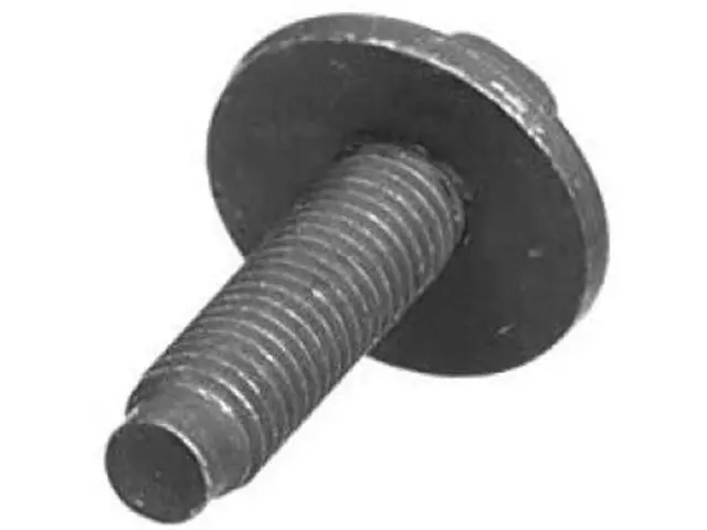 Door Hinge Bolt - Ford (N606690-S307)