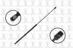 86162 - : Focus Auto Parts Hood Lift Support for Focus Auto Parts Image
