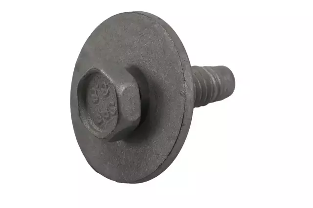 Mud Guard Bolt - GM (11571069)