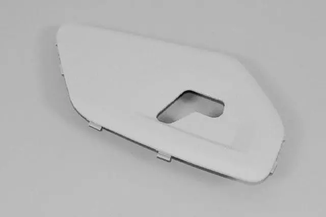 Bezel - Mopar (1BG451J8AA)