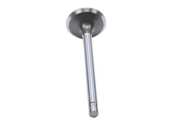 10240896 - : Exhaust Valve for ACDelco Image