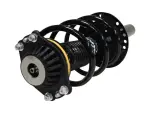 813108 - : 16-20 Buick Envision Suspension Strut and Coil Spring Assembly  - Front Right for GSP Image