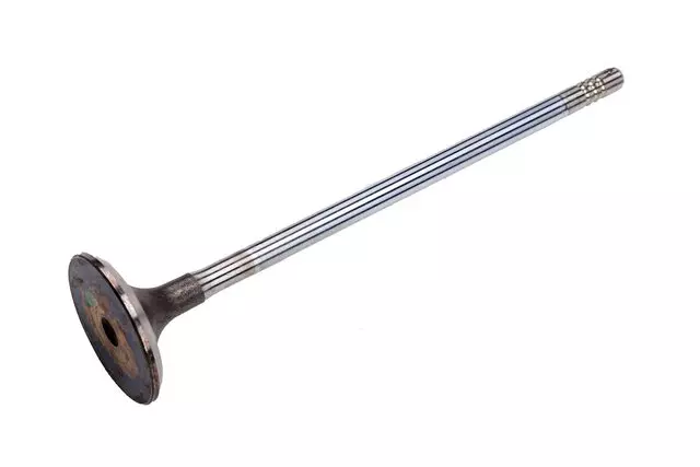 55565261 - : Engine Intake Valve for GM Image