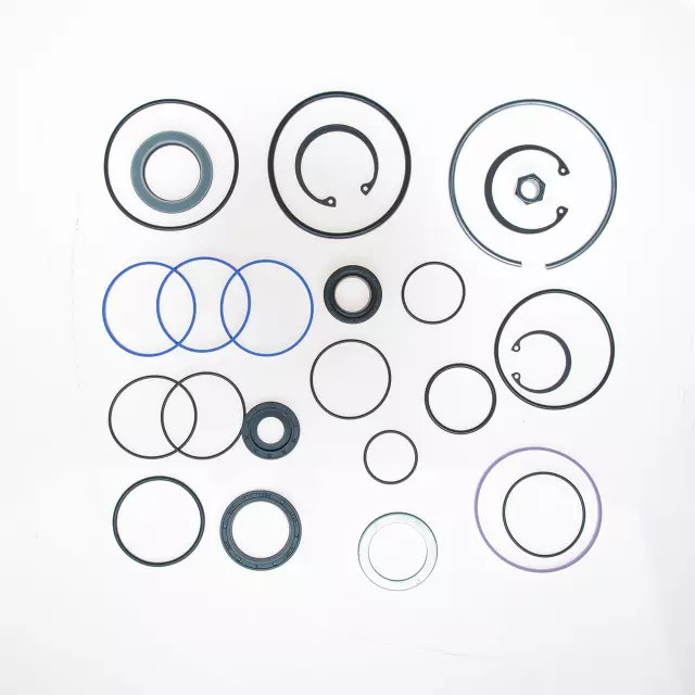 8625 - : STG. GEAR MAJOR SEAL KIT for Edelmann Image