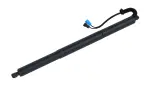 615041 - : Liftgate Lift Support for Tuff Support Image