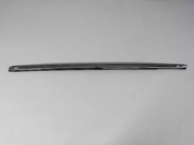 Front Door Belt Outer Weatherstrip, Left - Mopar (5303655AE)