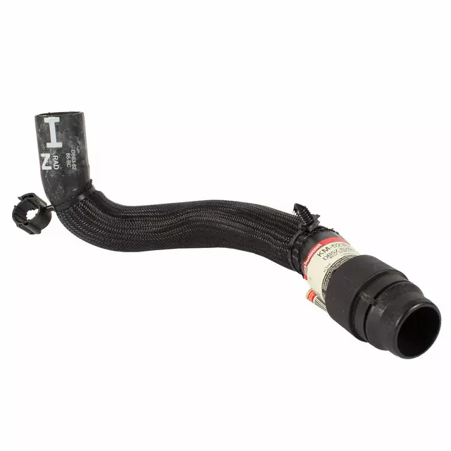 Lower Hose - Ford (DB5Z-8286-F)