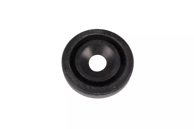 12638681 - : Vacuum Pump Seal for GM Image