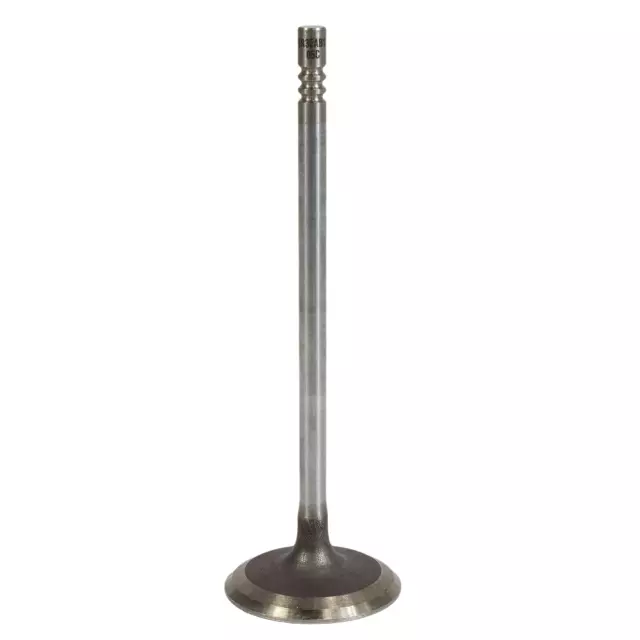 GR3Z6507B - : Intake Valve for Ford: F-150, Mustang Image