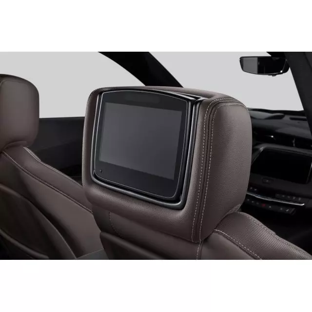 Headrest and Video Screen Assembly - GM (84339928)