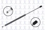 84440 - : Back Glass Lift Support for Focus Auto Parts Image