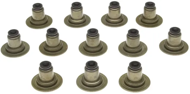 SS45994 - Gaskets: Engine Valve Stem Oil Seal Set for Mahle Image