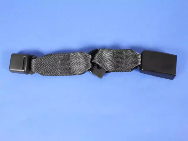 Rear Inner Seat Belt, Right - Mopar (1FR741DVAB)