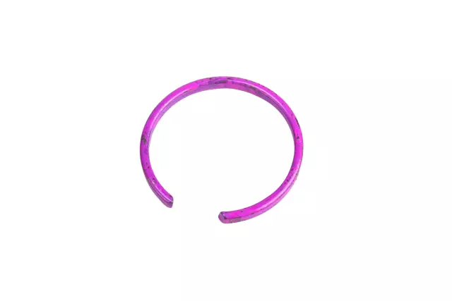 22727024 - : Multi-Purpose Clip for Chevrolet: Impala, Impala Limited, Traverse Image