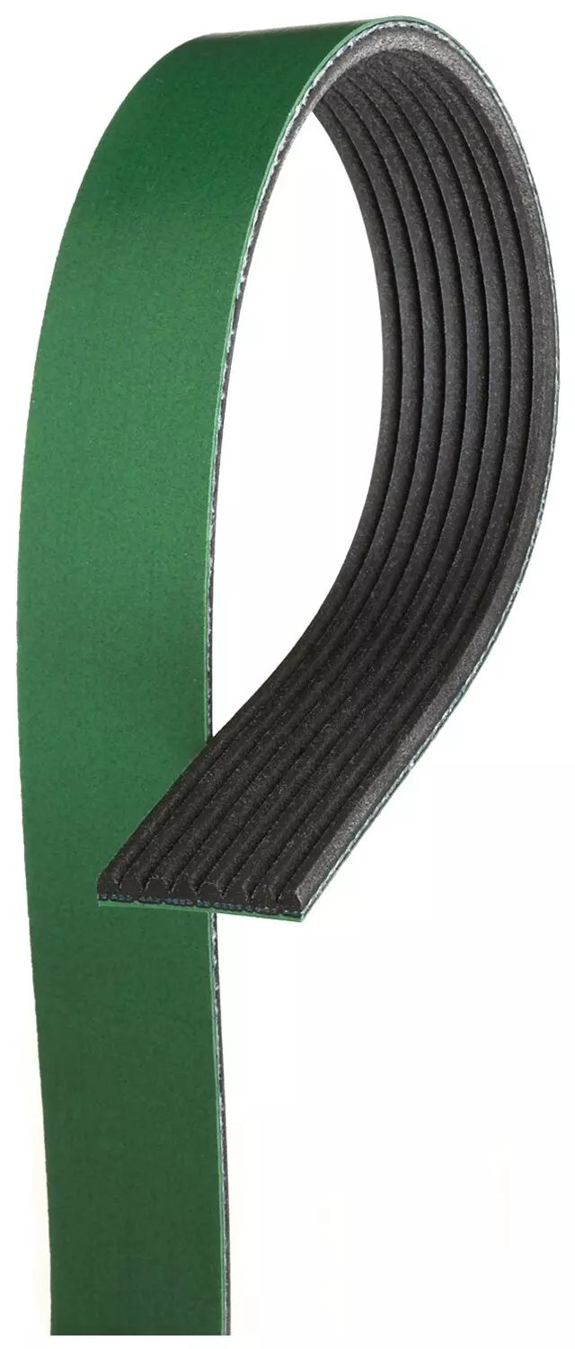Belt - GM (K080545HD)