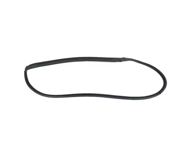 Door Glass Weatherstrip, Left - Mopar (4763879AE)