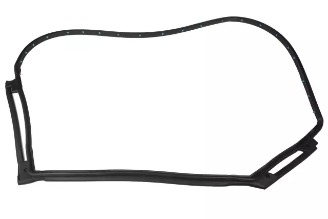 42549753 - Body: Door Weather-strip for Chevrolet: Bolt EV Image