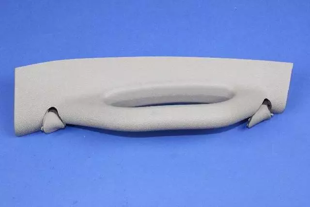 1AR41BD1AH - Body: Grip Handle for Chrysler: Town &amp; Country | Dodge: Grand Caravan | Ram: C/V Image