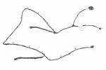 84796021 - : Front Object Alarm Sensor Wiring Harness for GM Image