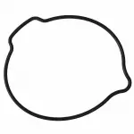 3C3Z6619FA - : 2003-2010 Ford - Engine Oil Pump Seal for Ford: E-350 Super Duty, E-450 Super Duty, Excursion, F-250 Super Duty, F-350 Super Duty, F-450 Super Duty, F-550 Super Duty Image