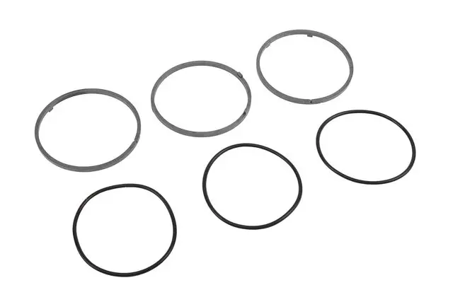 Ring Kit - GM (24054655)