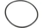 CY0516171 - Air and Fuel Delivery: Autotecnica Fuel Pump O-Ring for URO Image