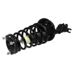 837217 - : 00-05 Hyundai Accent Suspension Strut and Coil Spring Assembly  - Rear Left for GSP Image
