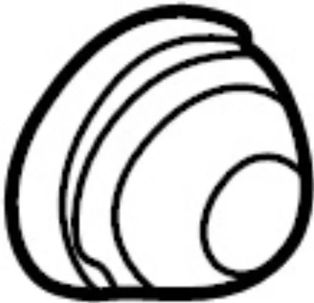 4023479G6C - : Cap for INFINITI: QX4 Image