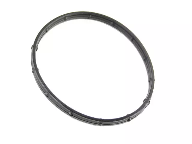 5037171AB - Belts &amp; Cooling: Engine Water Pump Gasket for Dodge: Ram 1500 | SRT: Viper Image