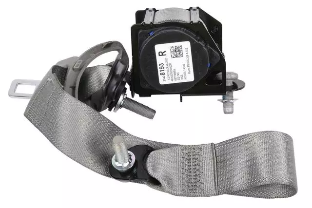 19328564 - : 2015 Cadillac ATS - Outer Belt Assembly for Cadillac: ATS Image