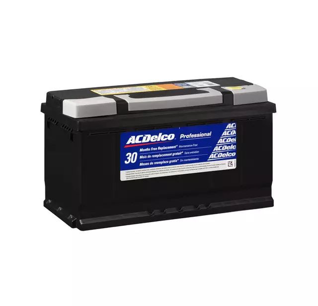 Acdelco™ Vehicle Battery - GM (49PS)