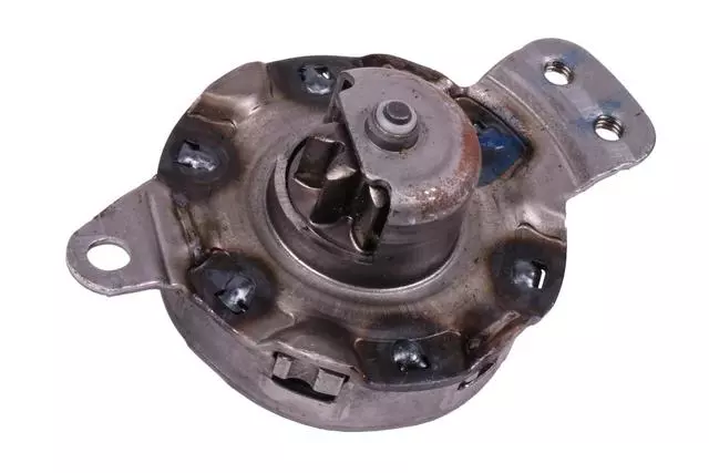 Front Seat Vertical Adjuster - GM (13583156)