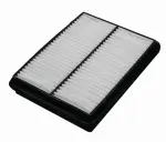 22012142 - : Air Filter for OmniParts Image