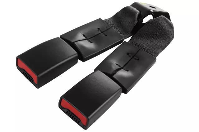 Buckle - GM (42728336)