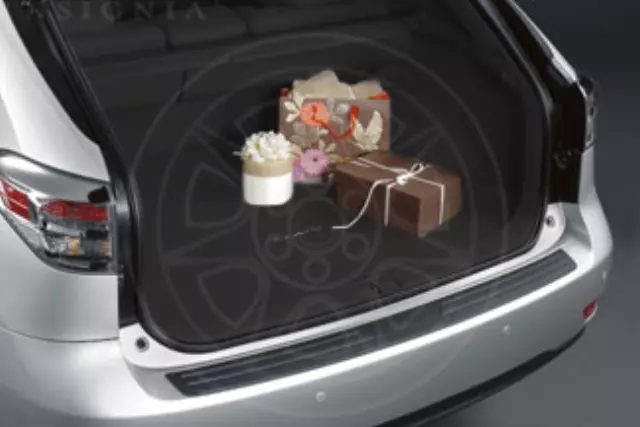 PT2064810422 - Interior: Carpet Cargo Mat - Black C2F4 for Lexus: RX350, RX450h Image